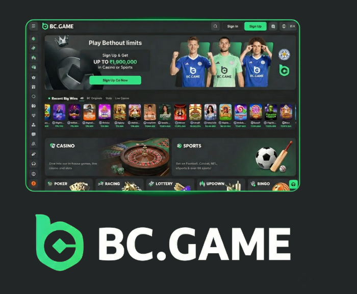 The Ultimate Guide to BC.Game Login Process